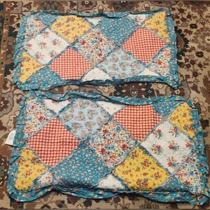 The Pioneer Woman Blue Floral Pillow Shams